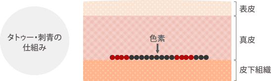 タトゥーの仕組み図