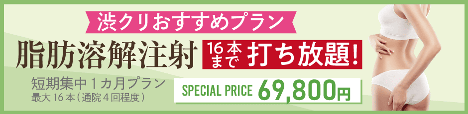 脂肪溶解注射 打ち放題 短期集中1カ月プラン ¥69,800