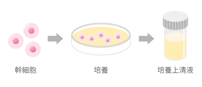 培養上清液の図解